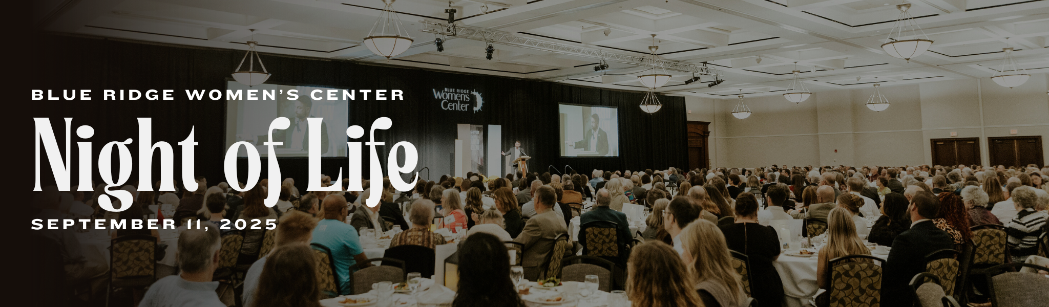 picture of crowded night of life at hotel roanoke to support blue ridge women's center